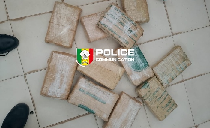 Coup de filet : 11 kg de drogue saisis à Rufisque, la passagère passe aux aveux