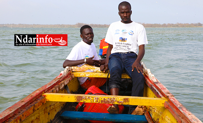 JOURNÉE DE L’ENVIRONNEMENT : synergie contre le commerce illicite d’espèces sauvages. JOURNÉE DE L’ENVIRONNEMENT : synergie contre le commerce illicite d’espèces sauvages.