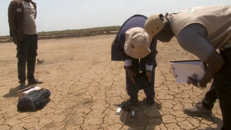 Saint-Louis : Enda Énergie au chevet des agriculteurs face au changement climatique