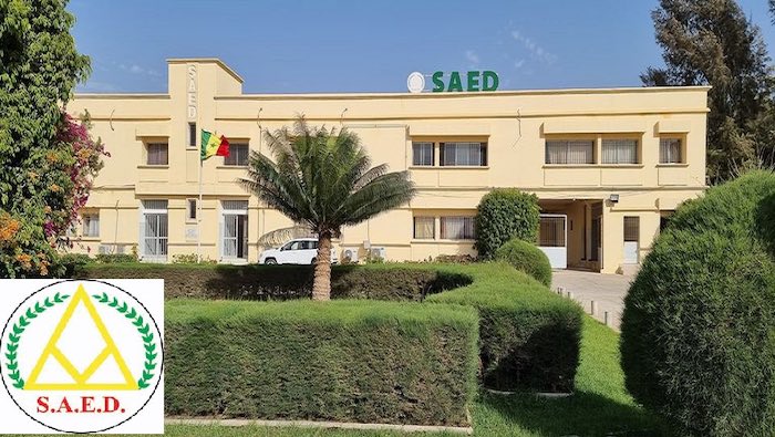 Saint-Louis : Le syndicat des travailleurs de la SAED dénonce un retard de paiement des avances de Tabaski
