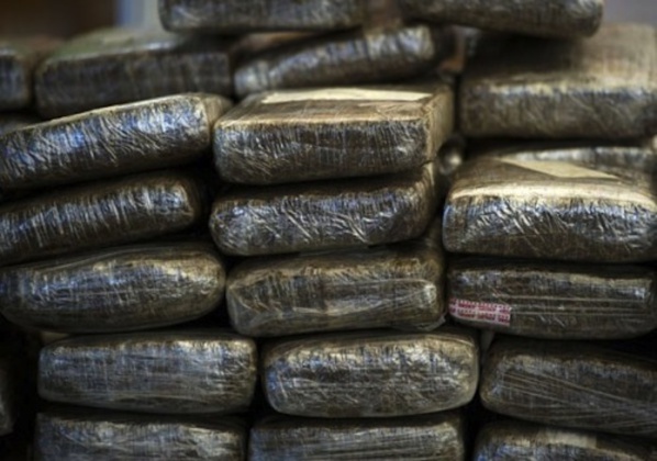 Louga : un réseau de trafiquants de drogue démantelé par la gendarmerie