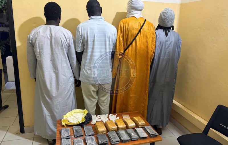 Mbour : Un réseau de faux monnayeurs démantelé avec 752 millions de FCFA