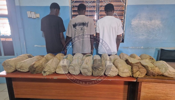 Petit Mbao : 26 kg de chanvre saisis, trois individus arrêtés