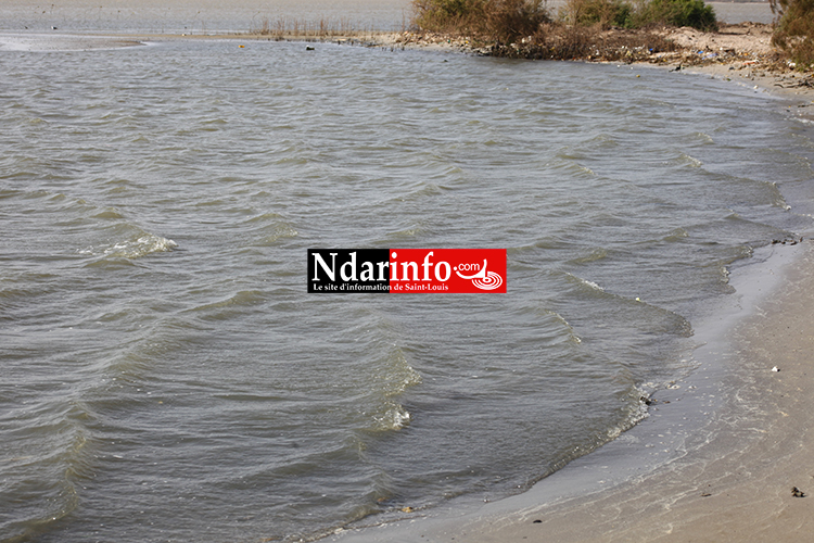 Saint-Louis : les déchets liquides des Chinois polluent le Fleuve (Photos)