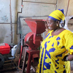 Gestion des micro-entreprises : 34 responsables de Gie de Saint-Louis et Dagana formés. Gestion des micro-entreprises : 34 responsables de Gie de Saint-Louis et Dagana formés.