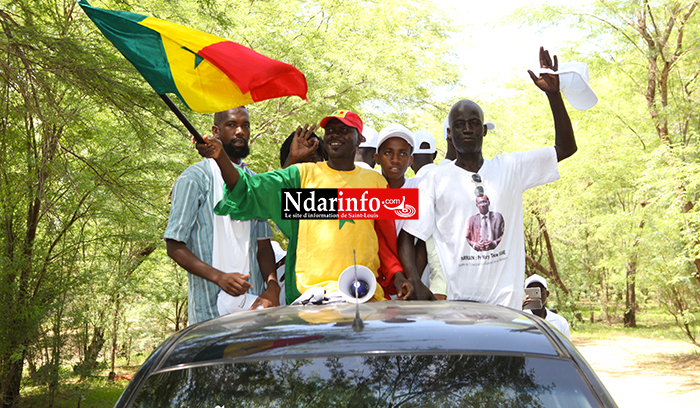 JOURNÉE DE L’EXCELLENCE : BANGO célèbre Mary Teuw NIANE (Vidéo et Photos)