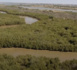 https://www.ndarinfo.com/Plaidoyer-pour-la-preservation-de-l-ecosysteme-mangrove-de-Saint-Louis_a37800.html