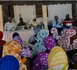 https://www.ndarinfo.com/Saint-Louis-Plus-de-50-cooperatives-creees-pour-dynamiser-l-economie-locale_a40584.html