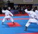 https://www.ndarinfo.com/Scandale-a-la-Federation-de-Karate-plusieurs-dirigeants-en-garde-a-vue_a40589.html