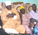 https://www.ndarinfo.com/Leylatoul-Qadr-Ferveur-et-messages-forts-a-la-mosquee-Abass-Sall_a40657.html