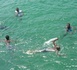 https://www.ndarinfo.com/Drame-a-Mboro-sur-Mer-Le-corps-d-un-jeune-sauveteur-retrouve-apres-avoir-sauve-un-garcon-de-la-noyade_a41590.html