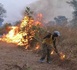 https://www.ndarinfo.com/Podor-Un-feu-de-brousse-ravage-plusieurs-hectares-entre-Ouro-Aly-et-Togan_a41845.html