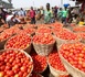 https://www.ndarinfo.com/Tomate-industrielle-Plus-de-80-000-tonnes-de-production-attendues-au-Senegal-en-2026_a42562.html