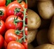 https://www.ndarinfo.com/Pomme-de-terre-et-tomate-Les-producteurs-de-Notto-craignent-une-campagne-agricole-catastrophique_a42922.html