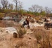 https://www.ndarinfo.com/Lutte-contre-l-exploitation-illegale-le-GARSI-2-demantele-des-sites-d-orpaillage-clandestin-a-Saraya_a44512.html