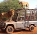 https://www.ndarinfo.com/Environnement-Lions-elephants-et-rhinoceros-au-coeur-du-projet-Lion-Rouge_a44576.html