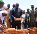 https://www.ndarinfo.com/Saint-Louis-Abdourahmane-Diouf-lance-le-projet-COPEJ-pour-l-emploi-des-jeunes-dans-les-metiers-verts_a44582.html