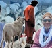 https://www.ndarinfo.com/De-Saint-Louis-a-Rao-Ambiance-timide-dans-les-foirails-a-deux-semaines-de-la-Tabaski_a44624.html