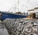 https://www.ndarinfo.com/Attribution-derogatoire-de-licences-la-CONAPED-fustige-le-degel-partiel-de-la-peche-demersale-cotiere_a44744.html