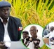 https://www.ndarinfo.com/Filiere-riz-Le-CIRIZ-lance-son-plan-d-action-triennal-2026-2028-pour-la-souverainete-alimentaire_a44807.html