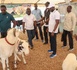 https://www.ndarinfo.com/Solidarite-nationale-Diomaye-Faye-offre-2-millions-FCFA-et-un-mouton-a-chaque-supporter-de-retour-du-Maroc_a44835.html