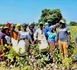 https://www.ndarinfo.com/Relance-cotonniere-Le-Senegal-vise-100-000-tonnes-et-mise-sur-la-transformation-locale_a44850.html