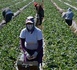 https://www.ndarinfo.com/Immigration-en-Espagne-Un-nouveau-visa-de-12-mois-pour-les-chercheurs-d-emploi_a45157.html