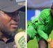 https://www.ndarinfo.com/Soutien-de-Modou-Lo-reprise-de-l-entrainement-absence-de-Mendy-ce-qui-agite-la-taniere-des-Lions_a45197.html
