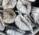 https://www.ndarinfo.com/Six-personnes-arretees-a-Thiourigne-dans-un-reseau-de-drogue-Kush_a45240.html