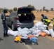 https://www.ndarinfo.com/Touba-358-interpellations-et-12-kg-de-chanvre-saisis-lors-de-l-operation-Saxxal-Karangue_a45246.html