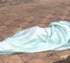 https://www.ndarinfo.com/Podor-un-corps-decouvert-a-Ouro-Amadou-Aly-delit-de-fuite-suspecte_a46175.html