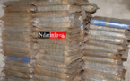 Saint-Louis : 133,5 kilos de chanvre indien saisis par la Douane. Regardez !  Saint-Louis : 133,5 kilos de chanvre indien saisis par la Douane. Regardez !