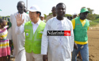 Coopération Sénégalo-Sud-coréenne : le village de Ndombo Alarba expose les réalisations du projet SAEMAUL