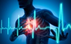 Maladies cardiaques: pourquoi le fléau s'amplifie à Saint-Louis