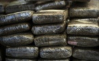 Kolda : la Douane intercepte 117 kg de chanvre indien
