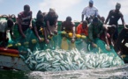 Mauritanie: 40 pêcheurs sénégalais expulsés. 131 arrêtés depuis mercredi.