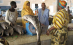 Suspension des pêcheurs de Guet-Ndar : le poisson devient cher en Mauritanie