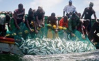 Banjul : les accords de pêche attendus avec "intérêt" par des pêcheurs et mareyeurs sénégalais