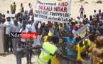 Macky à POTOU : And Suxali NDAR mobilise Guet-NDAR