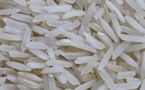 Dr Ngom à propos du faux riz: « si c’était du plastique, ceux qui l’ont consommé seraient… »