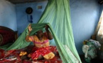 Le Sénégal en bonne voie pour l’élimination du paludisme à l’horizon 2030 (coordonnateur PNLP)