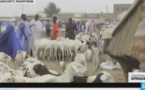 Sénégal, Mauritanie : le mouton de la réconciliation