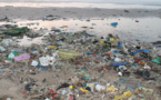 Invasion de plastiques à l’hydrobase : Mary Teuw NIANE déplore une situation « horrible »