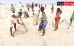 Lutte contre l’érosion côtière : près de 5.000 têtes de filaos plantées sur le littoral de  l’île Keur Bernard, ce matin (vidéo)