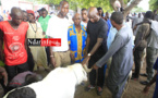 Au foirail de DAROU, Mansour FAYE achète un gros bélier à ... FCFA  (vidéo) Au foirail de DAROU, Mansour FAYE achète un gros bélier à ... FCFA  (vidéo)