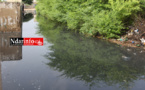 BANGO : Un canal d’irrigation éclate, plusieurs maisons envahies par les eaux (vidéo)