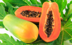 Les bienfaits de la papaye et de ses graines