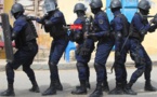 Maintien de la paix : L'armée américaine cite le Sénégal en exemple