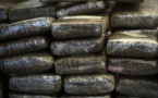Toubacouta : la Douane saisit 474 kg de chanvre indien