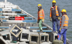 Saint-Louis : 410 blocs de récifs artificiels immergés dans l’Aire Marine Protégée (vidéo)